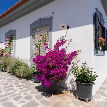 Marcellino Pane E Vino I *